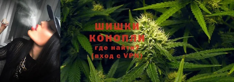 где можно купить наркотик  Оханск  Бошки марихуана Amnesia 